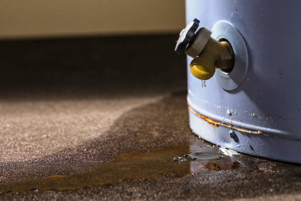 Trusted Valencia, NM Water damage restoration Experts