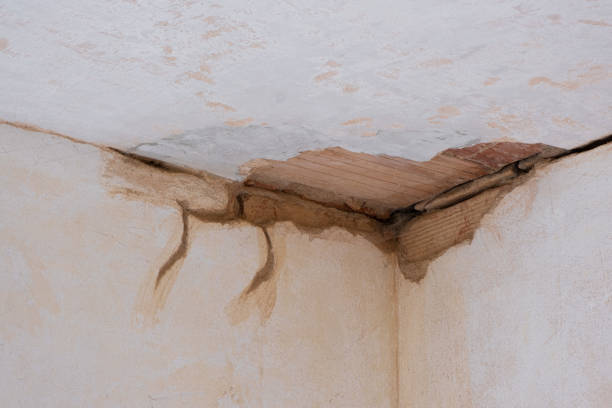 Best Wood Floor Water Damage Restoration in Valencia, NM